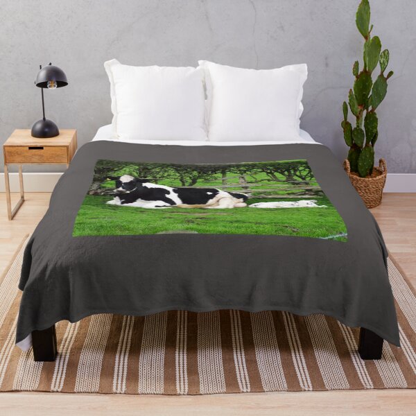 Item preview, Mum Friesian Cow And Newborn Calf designed and sold by Paul Thompson Photography.