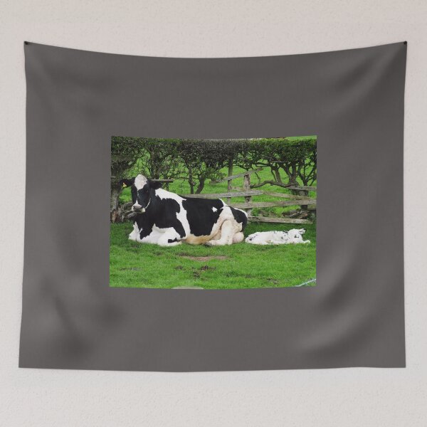 Item preview, Mum Friesian Cow And Newborn Calf designed and sold by Paul Thompson Photography.