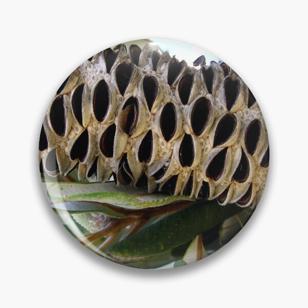Item preview, Old Man Banksia  designed and sold by ginnymac.