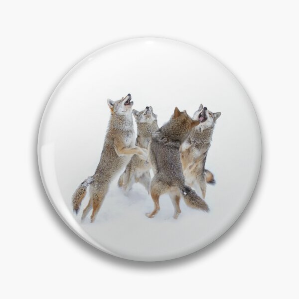 Item preview, Coyote Sing-along designed and sold by James Cumming.