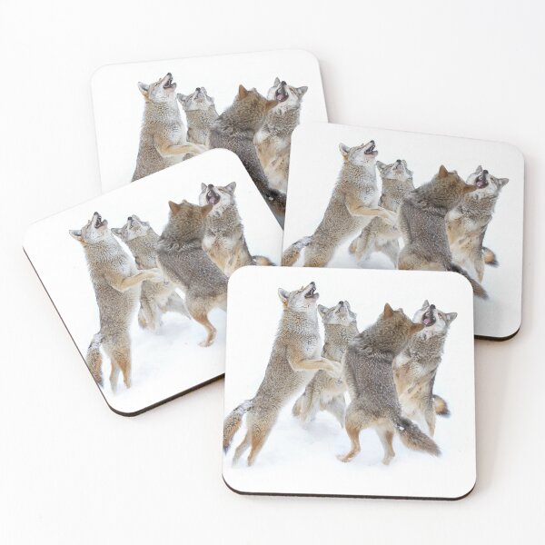 Item preview, Coyote Sing-along designed and sold by James Cumming.
