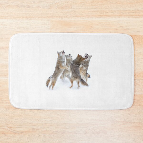 Item preview, Coyote Sing-along designed and sold by James Cumming.