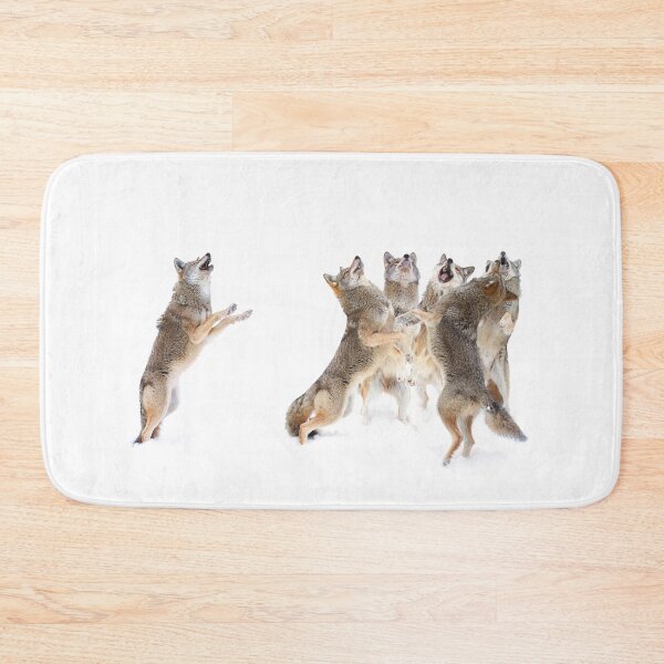 Item preview, The Choir - Coyotes designed and sold by James Cumming.