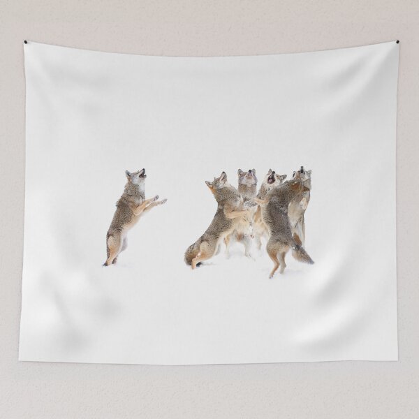 Item preview, The Choir - Coyotes designed and sold by James Cumming.