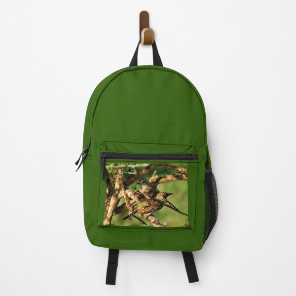 Item preview, D'Arnaud's Barbets designed and sold by David JC.