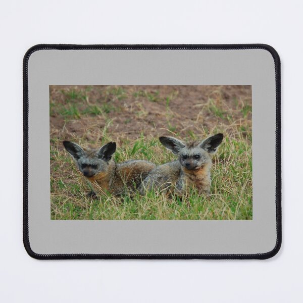 Item preview, Bat-Eared Foxes designed and sold by David JC.