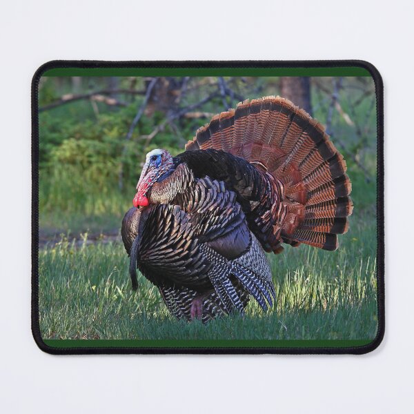 Item preview, Tom Turkey - Wild Turkey designed and sold by James Cumming.