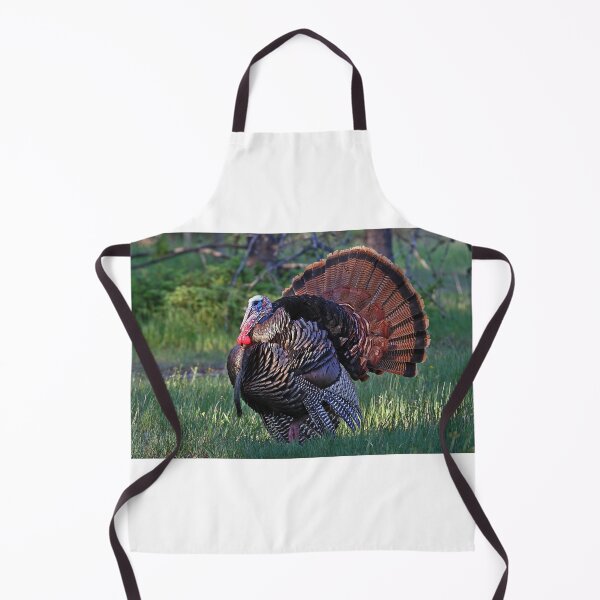 Item preview, Tom Turkey - Wild Turkey designed and sold by James Cumming.