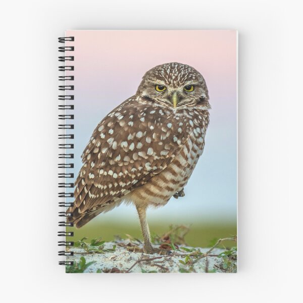 Item preview, Burrowing Owl at Dusk designed and sold by Tony North.