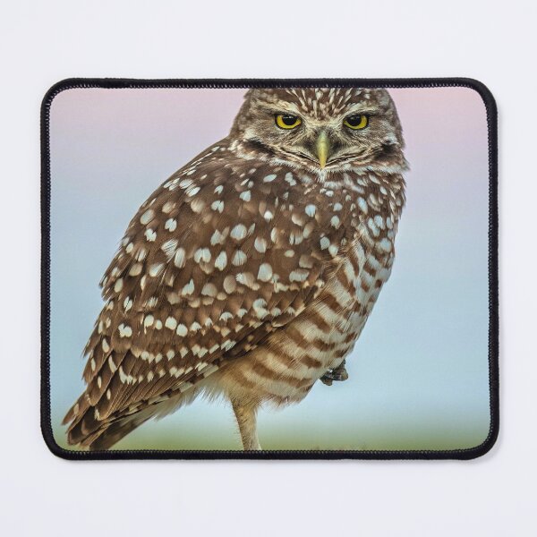 Item preview, Burrowing Owl at Dusk designed and sold by Tony North.