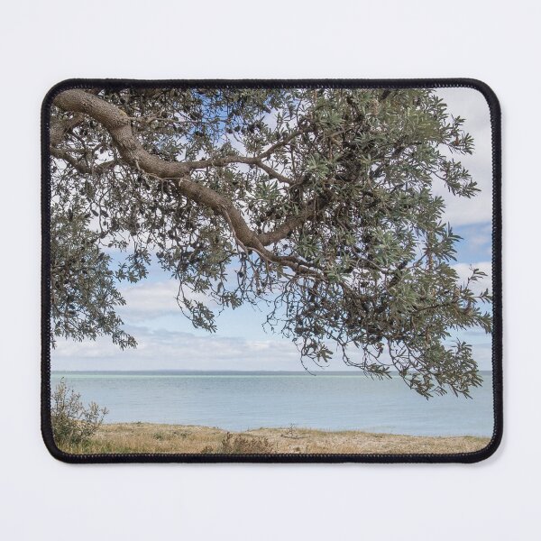 Item preview, Dromana Beach, Mornington Peninsula, Vic, Australia designed and sold by Vicki Walsh.