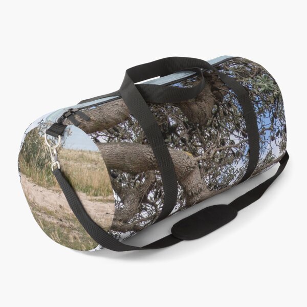 Item preview, Dromana Beach, Mornington Peninsula, Vic, Australia designed and sold by Vicki Walsh.