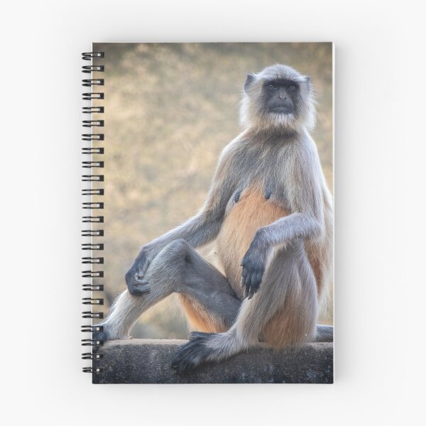 Item preview, Grey Langur Monkey designed and sold by Tony North.