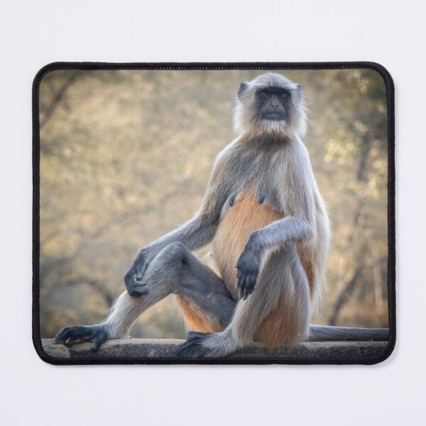 Item preview, Grey Langur Monkey designed and sold by Tony North.