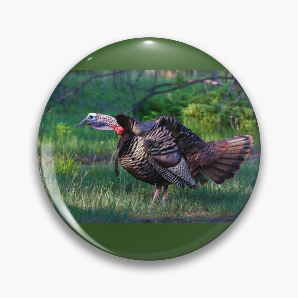 Item preview, Wild Turkey Call designed and sold by James Cumming.