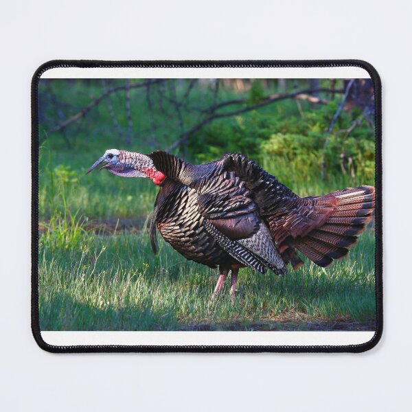 Item preview, Wild Turkey Call designed and sold by James Cumming.