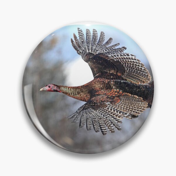 Item preview, Wild Turkey in flight designed and sold by James Cumming.
