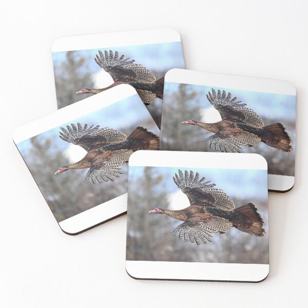 Item preview, Wild Turkey in flight designed and sold by James Cumming.