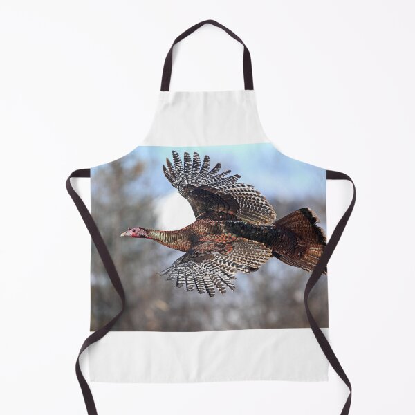 Item preview, Wild Turkey in flight designed and sold by James Cumming.