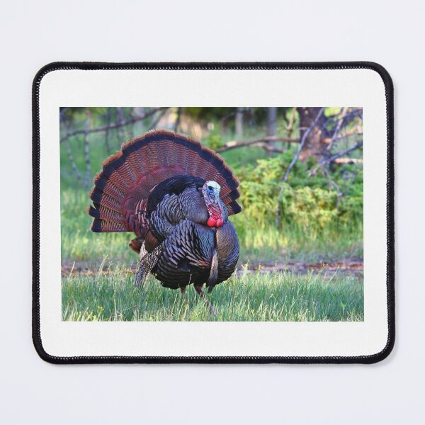 Item preview, Wild Turkey designed and sold by James Cumming.