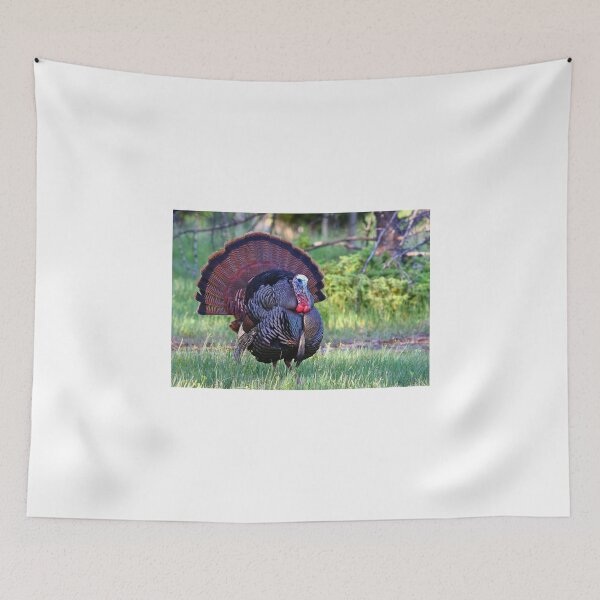 Item preview, Wild Turkey designed and sold by James Cumming.