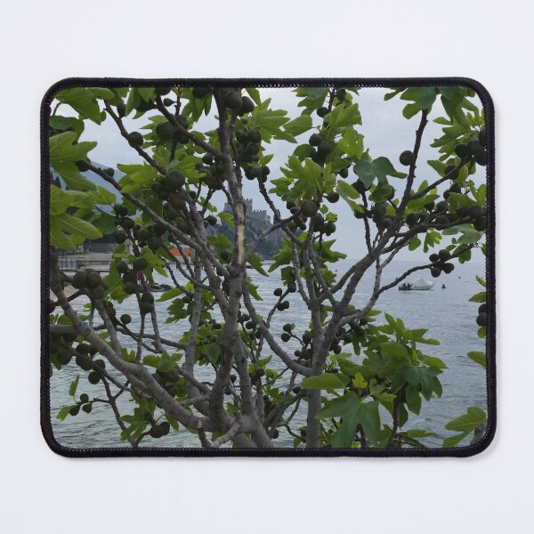 Item preview, olive tree designed and sold by Alfi1980.