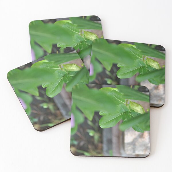 Item preview, Leaf in focus designed and sold by FindYouByZ.