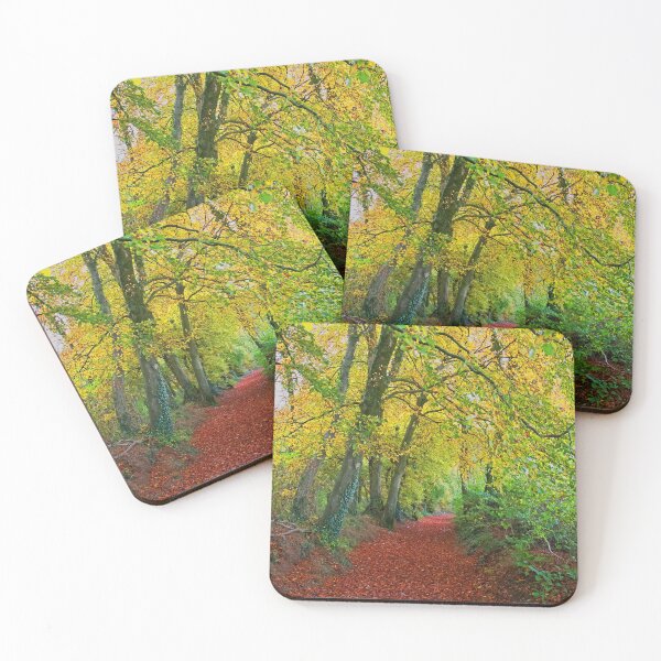Item preview, Autumnal Westridge Woods, Cotswolds designed and sold by Graz-Photos.