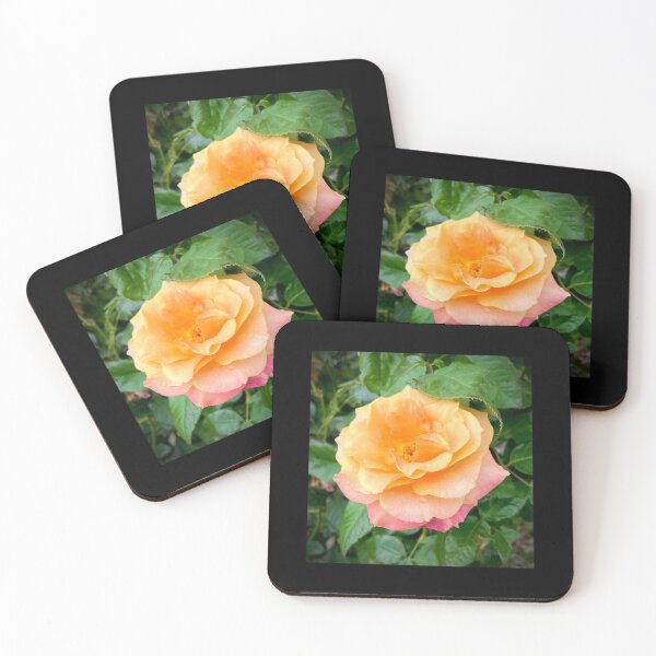Item preview, Many Hued Rose designed and sold by KazM.