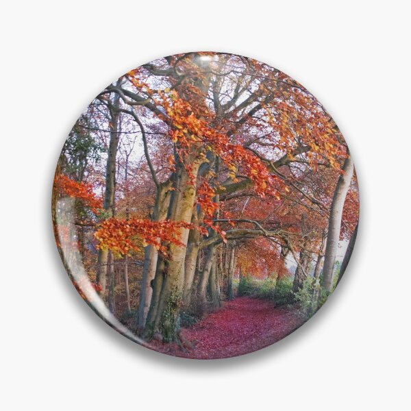 Item preview, Autumnal Westridge Woods, Cotswolds designed and sold by Graz-Photos.