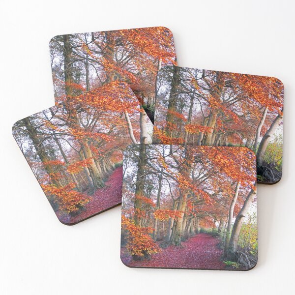 Item preview, Autumnal Westridge Woods, Cotswolds designed and sold by Graz-Photos.