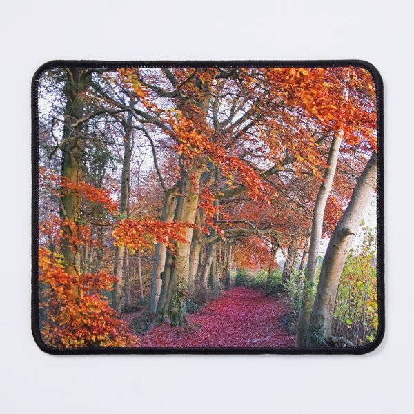 Item preview, Autumnal Westridge Woods, Cotswolds designed and sold by Graz-Photos.