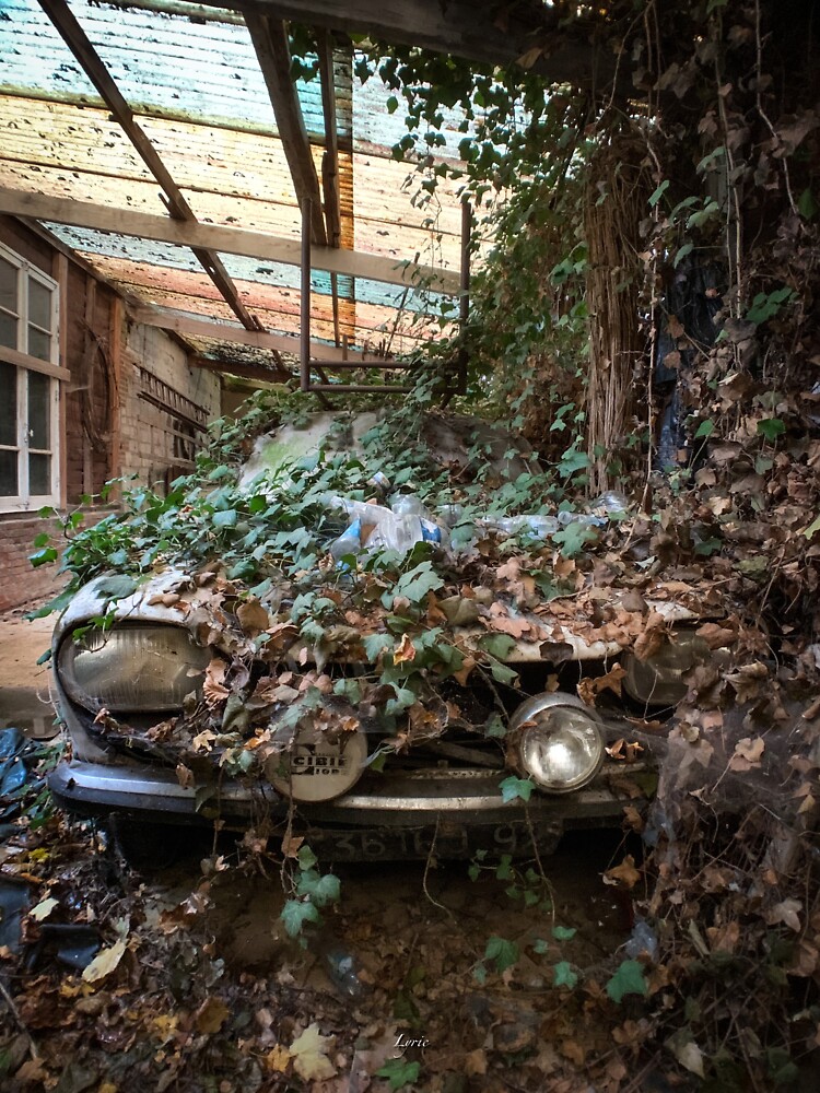 "Oil and Ivy" Sticker for Sale by LyricExplos | Redbubble