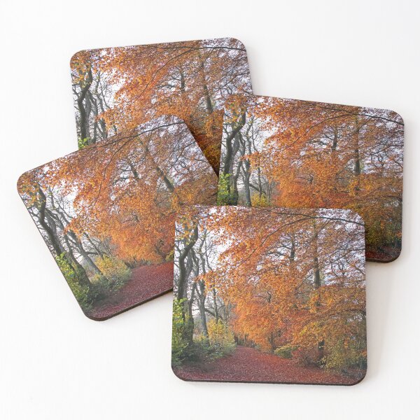 Item preview, Autumnal Westridge Woods, Cotswolds designed and sold by Graz-Photos.