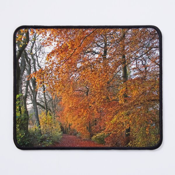 Item preview, Autumnal Westridge Woods, Cotswolds designed and sold by Graz-Photos.