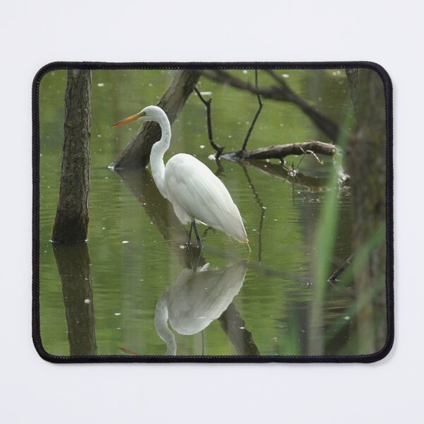 Item preview, Egret hunting for Fish designed and sold by PaulKPhoto.