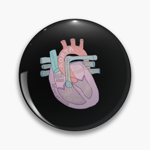 Item preview, Anatomical heart  designed and sold by Tamm-art.