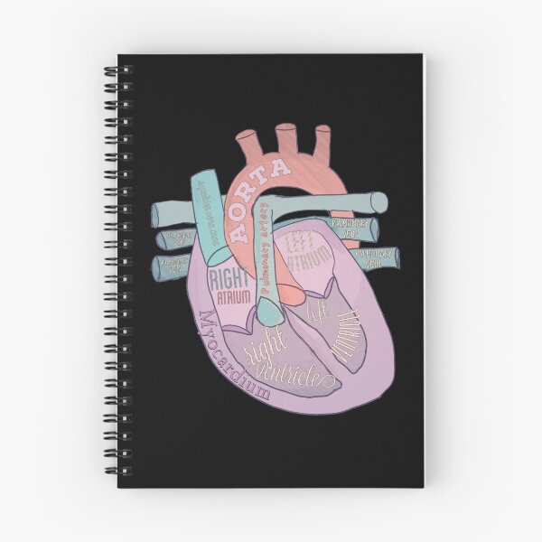 Item preview, Anatomical heart  designed and sold by Tamm-art.
