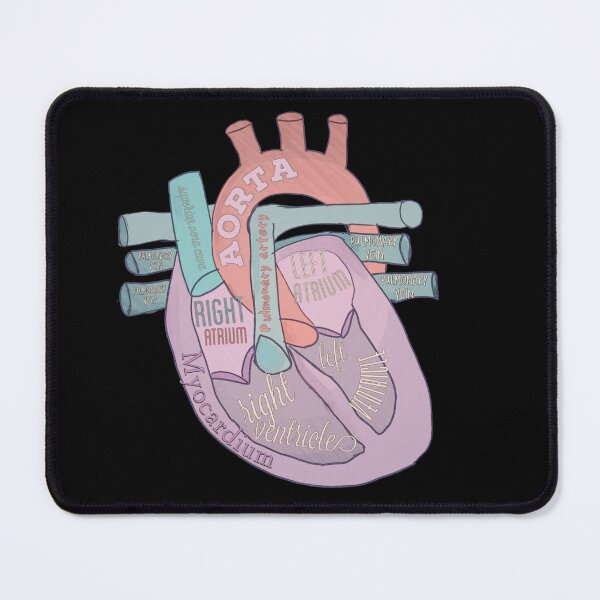 Item preview, Anatomical heart designed and sold by Tamm-art.
