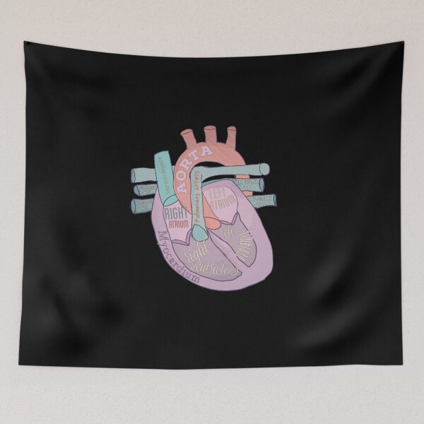 Item preview, Anatomical heart  designed and sold by Tamm-art.