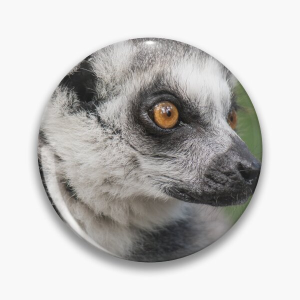 Item preview, Ring-tailed Lemur Portrait designed and sold by Tony North.