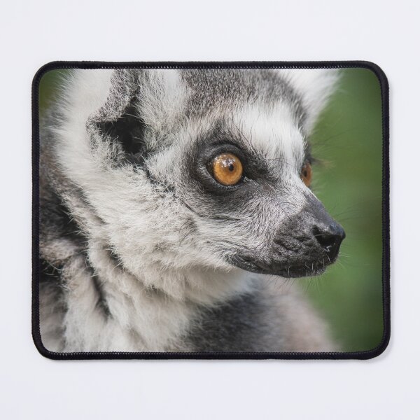 Item preview, Ring-tailed Lemur Portrait designed and sold by Tony North.