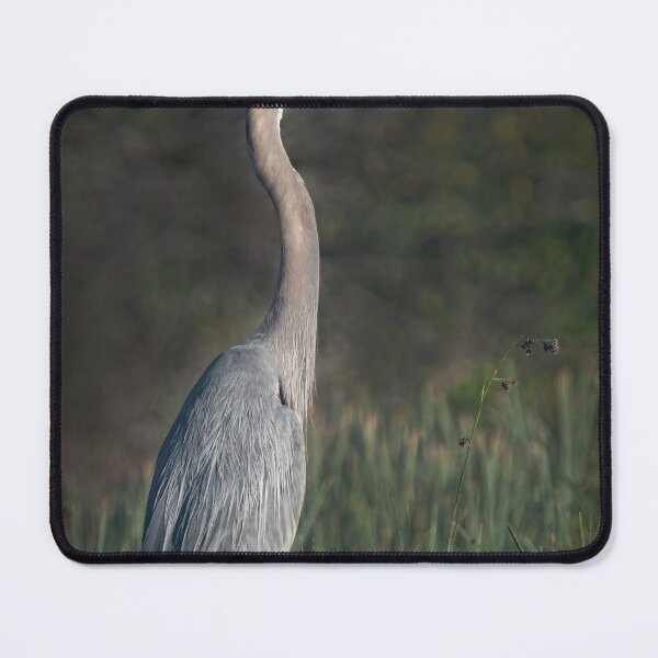 Item preview, Great Blue Heron Portrait designed and sold by Tony North.