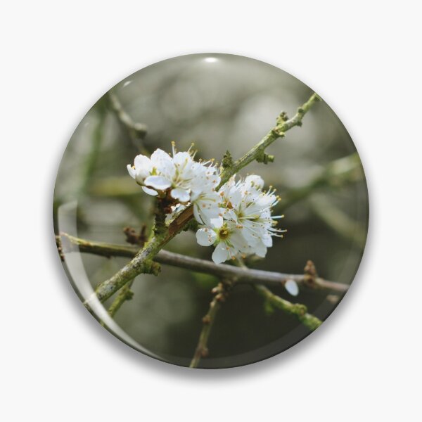 Item preview, Beautiful Blossom Image designed and sold by Aoife Photo Designs.