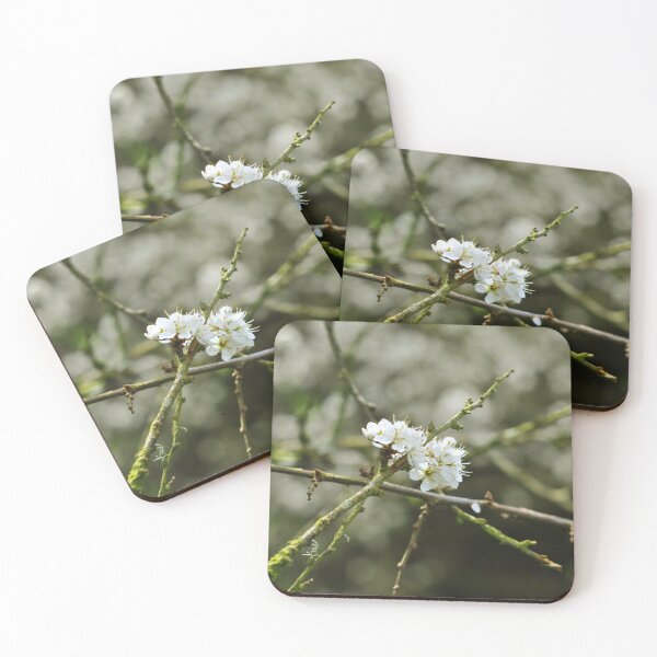 Item preview, Beautiful Blossom Image designed and sold by Aoife Photo Designs.