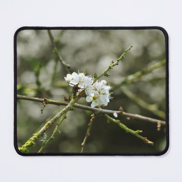 Item preview, Beautiful Blossom Image designed and sold by Aoife Photo Designs.
