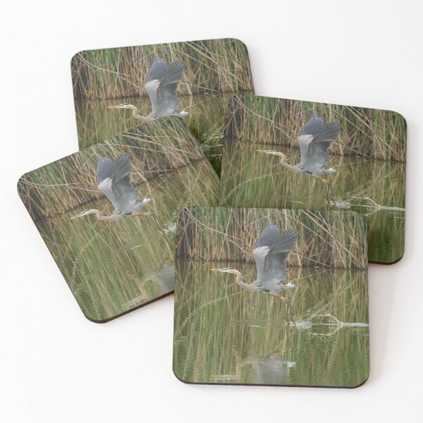 Item preview, Heron landing designed and sold by PaulKPhoto.