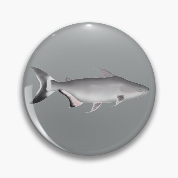 Item preview, Giant Pangasius designed and sold by fishfolkart.