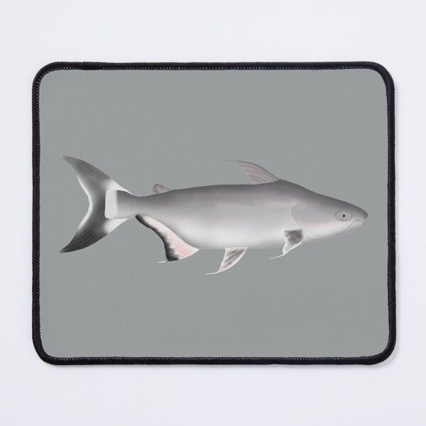 Item preview, Giant Pangasius designed and sold by fishfolkart.