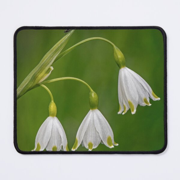 Item preview, Summer Snowflake Flowers designed and sold by Tony North.